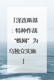 泽连斯基：特种作战“蛛网”为乌独立实施
