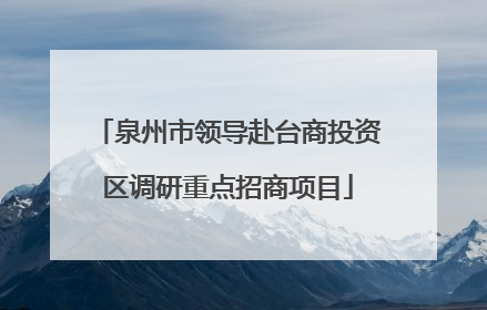 泉州市领导赴台商投资区调研重点招商项目