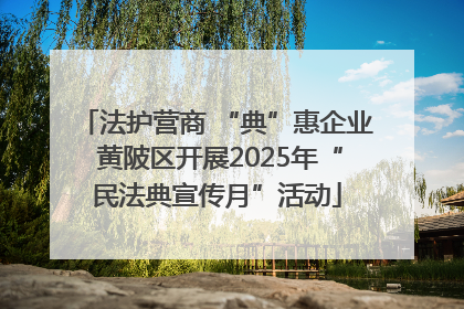 法护营商 “典”惠企业 黄陂区开展2025年“民法典宣传月”活动