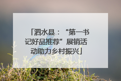 泗水县：“第一书记好品推荐”展销活动助力乡村振兴