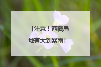 注意！西藏局地有大到暴雨