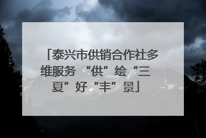 泰兴市供销合作社多维服务 “供”绘“三夏”好“丰”景
