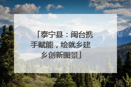 泰宁县：闽台携手赋能，绘就乡建乡创新图景