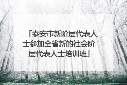 泰安市新阶层代表人士参加全省新的社会阶层代表人士培训班