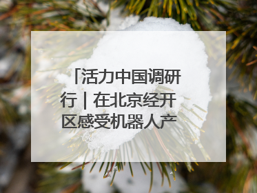 活力中国调研行｜在北京经开区感受机器人产业创新发展
