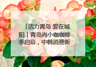 活力青岛 爱在城阳｜青岛尚小咖咖啡季启幕，中韩消费新场景点燃夏日热情