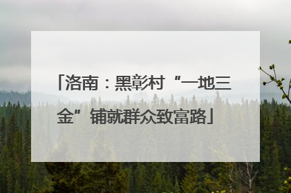 洛南：黑彰村“一地三金”铺就群众致富路