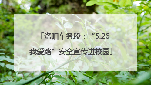 洛阳车务段：“5.26我爱路”安全宣传进校园