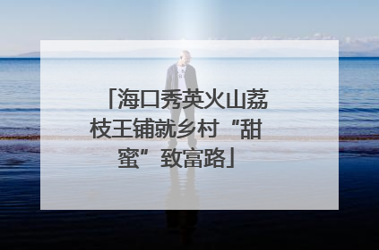 海口秀英火山荔枝王铺就乡村“甜蜜”致富路