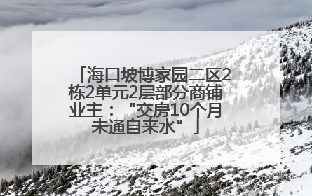 海口坡博家园二区2栋2单元2层部分商铺业主：“交房10个月未通自来水”