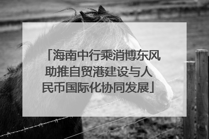 海南中行乘消博东风 助推自贸港建设与人民币国际化协同发展