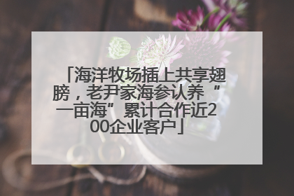 海洋牧场插上共享翅膀，老尹家海参认养“一亩海”累计合作近200企业客户