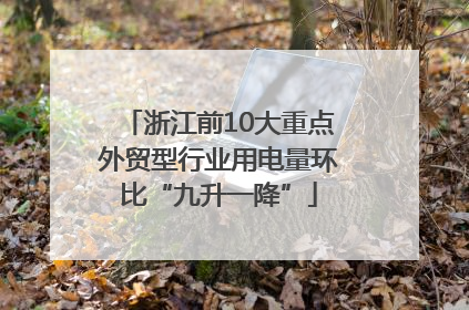 浙江前10大重点外贸型行业用电量环比“九升一降”