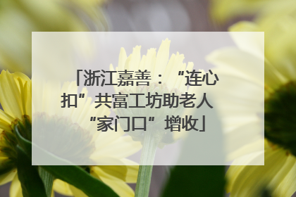 浙江嘉善：“连心扣”共富工坊助老人“家门口”增收