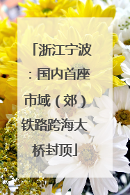 浙江宁波：国内首座市域（郊）铁路跨海大桥封顶
