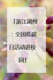 浙江湖州：全国低碳日活动进校园