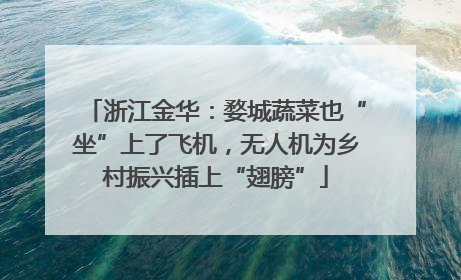 浙江金华：婺城蔬菜也“坐”上了飞机，无人机为乡村振兴插上“翅膀”