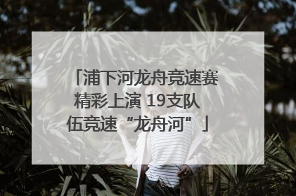 浦下河龙舟竞速赛精彩上演 19支队伍竞速“龙舟河”