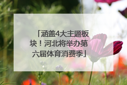 涵盖4大主题板块！河北将举办第六届体育消费季