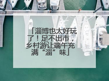 淄博也太好玩了！足不出市，乡村游让端午充满“淄”味