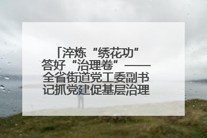 淬炼“绣花功” 答好“治理卷”——全省街道党工委副书记抓党建促基层治理培训示范班侧记