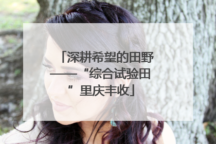 深耕希望的田野——“综合试验田”里庆丰收