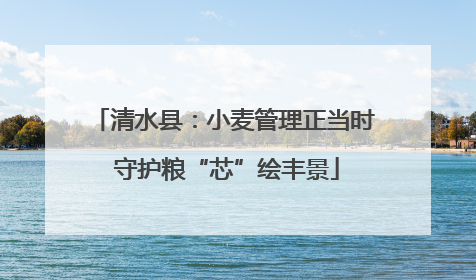 清水县：小麦管理正当时 守护粮“芯”绘丰景
