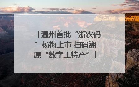 温州首批“浙农码”杨梅上市 扫码溯源“数字土特产”