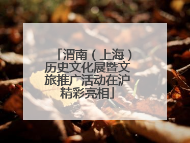 渭南（上海）历史文化展暨文旅推广活动在沪精彩亮相