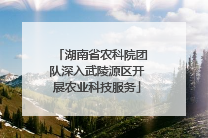 湖南省农科院团队深入武陵源区开展农业科技服务