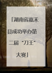 湖南省嘉禾县成功举办第二届“刀王”大赛