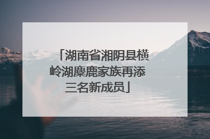 湖南省湘阴县横岭湖麋鹿家族再添三名新成员