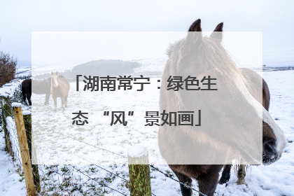 湖南常宁：绿色生态 “风”景如画