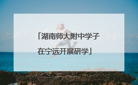 湖南师大附中学子在宁远开展研学