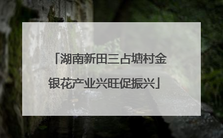 湖南新田三占塘村金银花产业兴旺促振兴