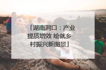 湖南洞口：产业提质增效 绘就乡村振兴新图景