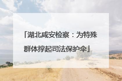湖北咸安检察：为特殊群体撑起司法保护伞