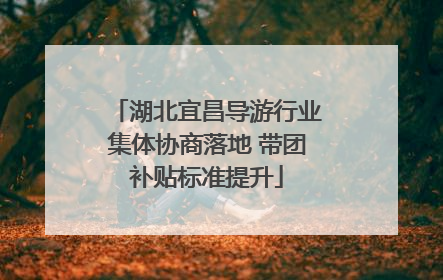 湖北宜昌导游行业集体协商落地 带团补贴标准提升
