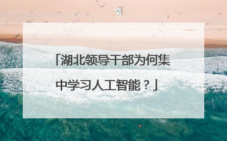 湖北领导干部为何集中学习人工智能？