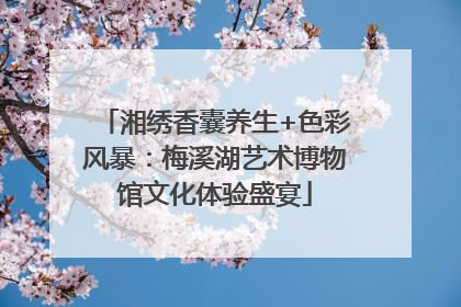 湘绣香囊养生+色彩风暴：梅溪湖艺术博物馆文化体验盛宴