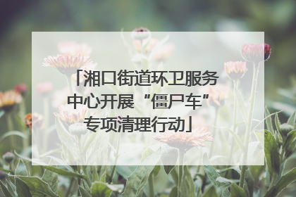 湘口街道环卫服务中心开展“僵尸车”专项清理行动