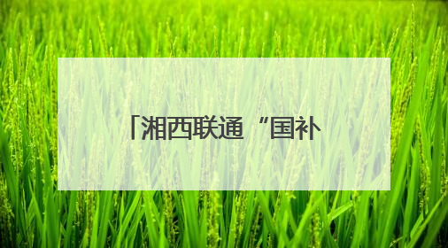 湘西联通“国补进村”让数字化红利惠及乡村