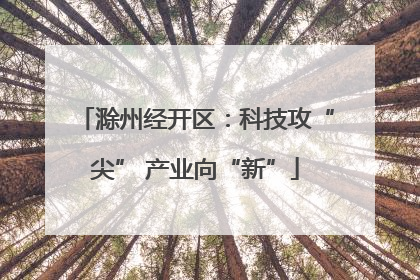 滁州经开区：科技攻“尖” 产业向“新”