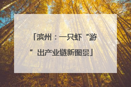 滨州：一只虾“游”出产业链新图景