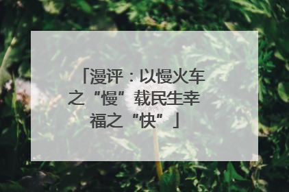 漫评：以慢火车之“慢”载民生幸福之“快”