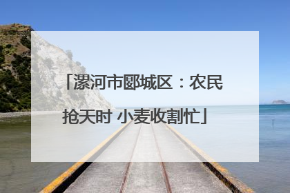 漯河市郾城区：农民抢天时 小麦收割忙