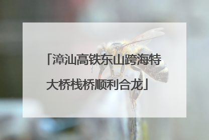 漳汕高铁东山跨海特大桥栈桥顺利合龙