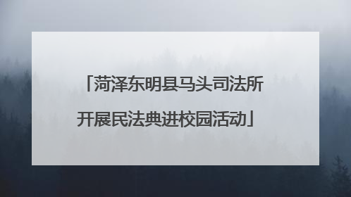 菏泽东明县马头司法所开展民法典进校园活动