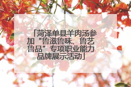 菏泽单县羊肉汤参加“鲁滋鲁味、鲁艺鲁品”专项职业能力品牌展示活动