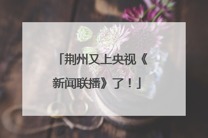 荆州又上央视《新闻联播》了！